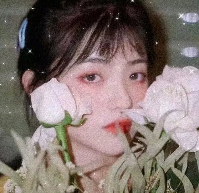 深情的朋友